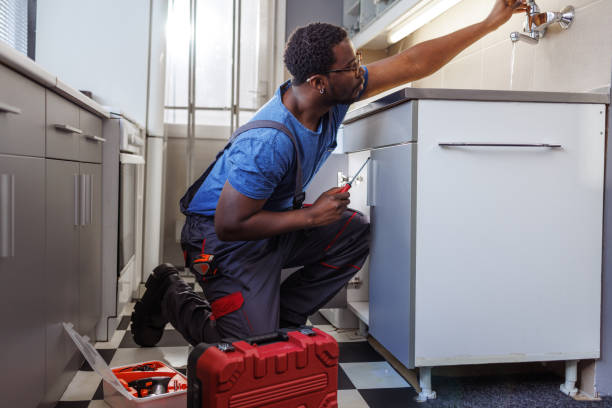 Best Sprinkler Systems  in Annandale, VA